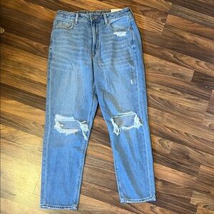 American Eagle Outfitters Women's High Rise Blue Distressed Jeans